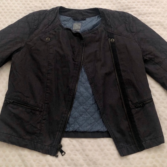 gap fall jackets